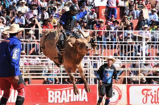 banner de aniversario, segunda imagem para criação