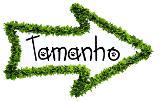 cartão de visita ir para a pagina